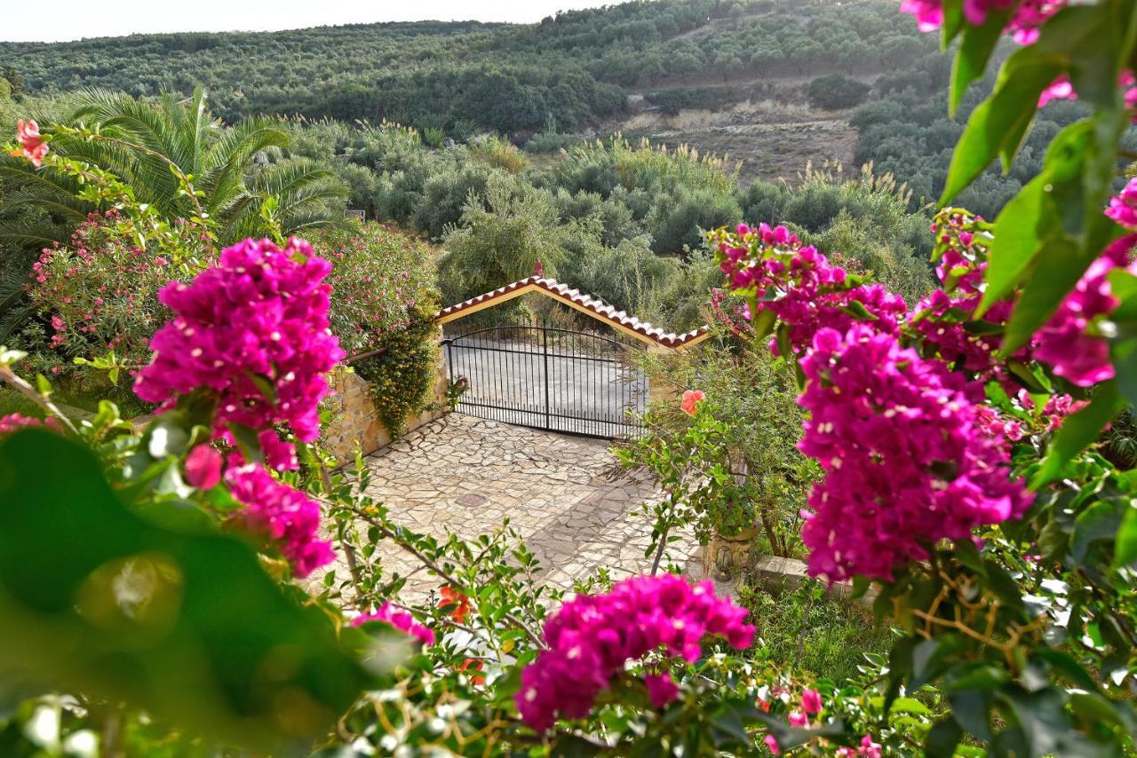 Вілла Olive Farm Agia Marina  Екстер'єр фото