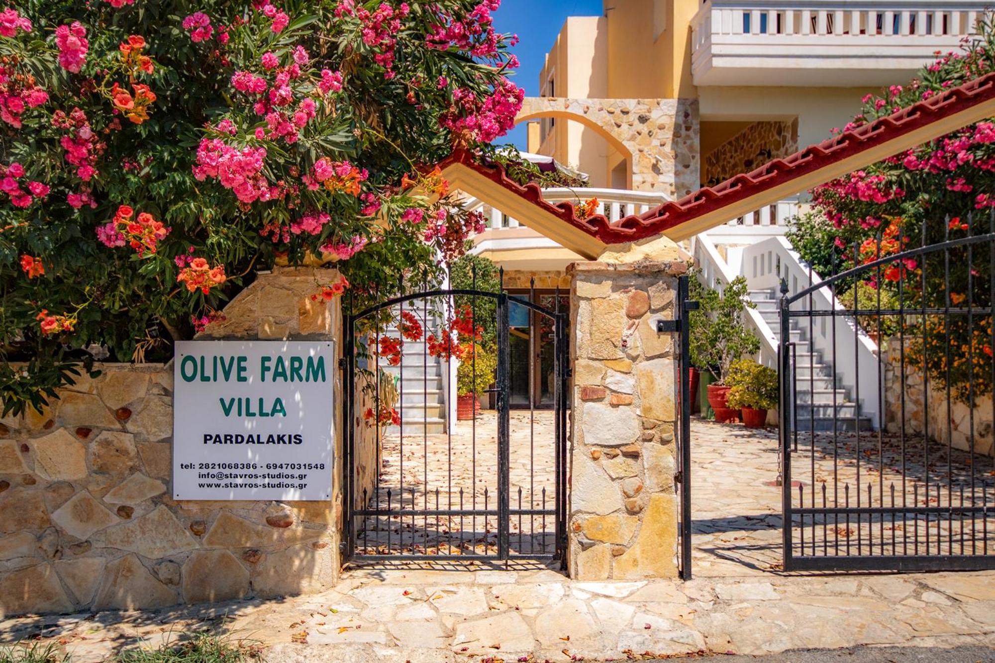 Вілла Olive Farm Agia Marina  Екстер'єр фото